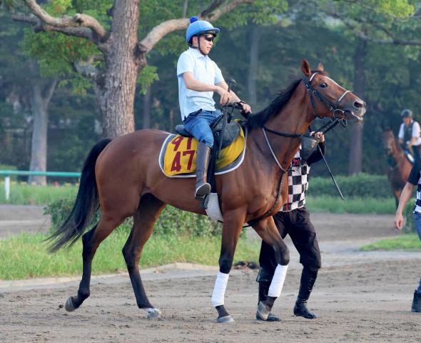 アルゼンチン共和国杯2024結果情報】ハヤヤッコが大外から差し