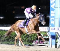  ϡۥƥեХ륹ץȡ饤ե쥤बоǽž޽