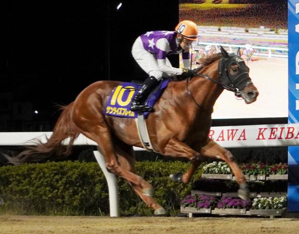 【テレ玉杯オーバルスプリント】1番人気のサンライズフレイムが重賞初勝利　菱田裕二騎手「すごく上手に走ってくれた」
