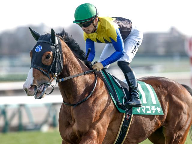 第41回ジャパンカップ　全出走馬のストラップ 第41回ジャパンカップ全出走馬のボールペン＆ストラップ