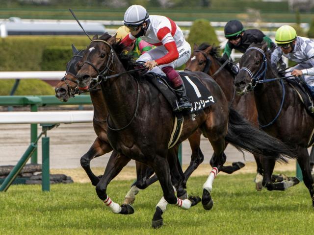 ★ウマ娘馬券★ スペシャルウィーク 第59回菊花賞 現地単勝馬券 Yahoo!オークション -「馬券 スペシャルウィーク」(終了した