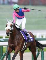  �ᥤ���祦���Х����˭�ȤΥ���ӷ�³��ŷ�ľޡ�����