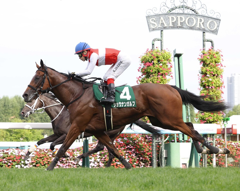 競馬優勝パネル（枠付き） 2025年最新】Yahoo!オークション -競馬パネルの中古品・新品・未