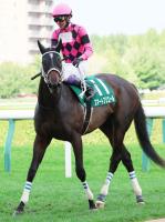  ��������ư�����쥹�ޡ��ȥ쥤�����Υ��ޡ��ȥץꥨ�������˭����ǥ����ӡ�S�ء��쥯���Υ����ͥ����Υ٥쥷���Ȥ�����