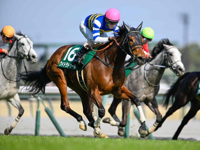 函館記念 2025結果情報】ヴェローチェエラがレコードV！ 4度目の