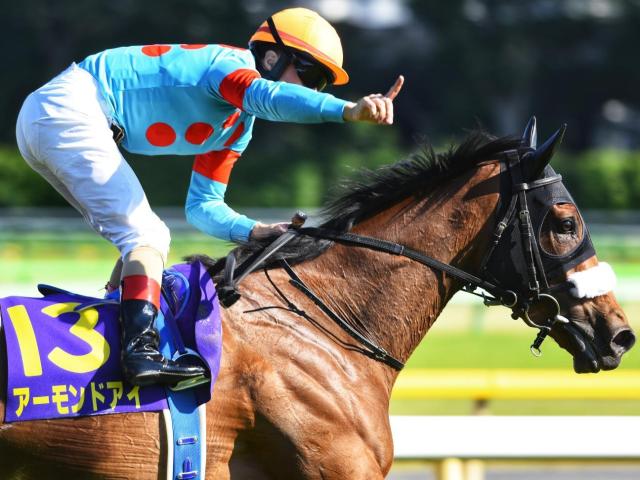 ◆　競馬　JRA　◆　ブレイディヴェーグ　◆　エリザベス女王杯　◆２種類セット◆ 2023年 エリザベス女王杯（GⅠ） | ブレイディヴェーグ | JRA