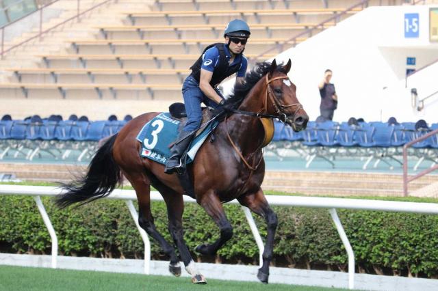 ◆　競馬　JRA　◆　ジャスティンパレス　◆　天皇賞春　◆　２種類セット　◆ ⑤◇ 競馬 JRA ◇ ジャスティンパレス ◇ 天皇賞春 ◇ 2種類