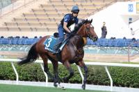  ���QE2�������������ӡ��ϥ����ƥ��������ŷ�ľޡ��������������Ĵ����20���������ȥ쥻�󵢱�