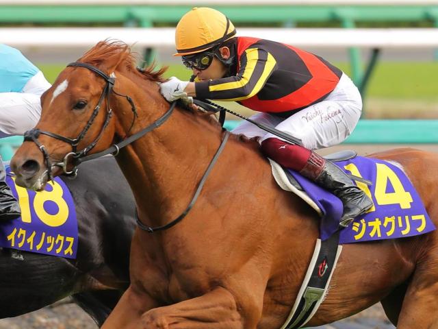 エリザベス女王杯2023結果】ブレイディヴェーグがデビュー5戦目