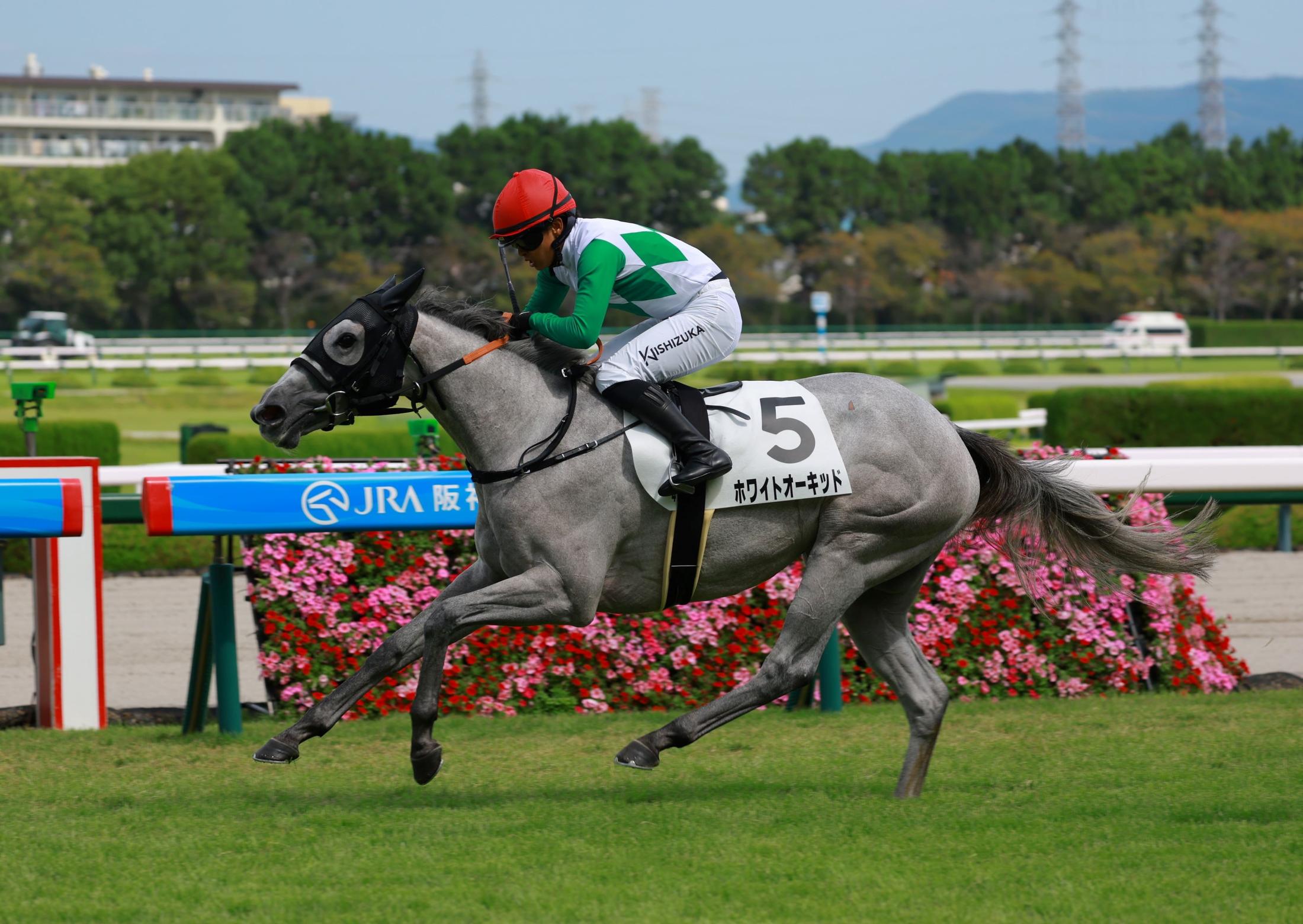リバティアイランド　阪神JF　桜花賞　オークス　秋華賞　現地的中単勝馬券セット リバティアイランド 阪神JF 桜花賞 オークス 秋華賞 現地的中