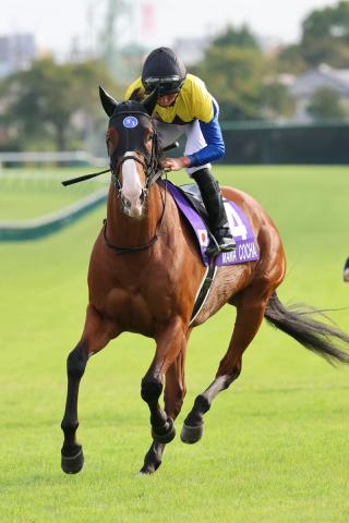 【スプリンターズS】ママコチャは6着同着で2年ぶり制覇ならず　岩田望来騎手「結果だけが残念です」