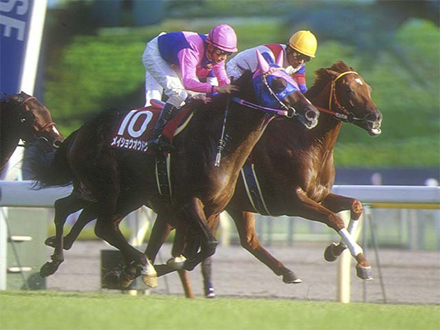 ハヤヤッコ　24年　アルゼンチン共和国杯　現地的中単勝馬券　希少！ ハヤヤッコ 24年 アルゼンチン共和国杯 現地的中単勝馬券 希少