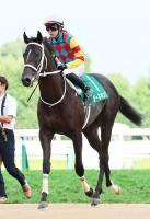  ưۻ2S2Υͥ󥰤ϵ2SۡץեSľԤ