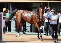  ưSΥʡʥϵ2SۡץեSľԤ