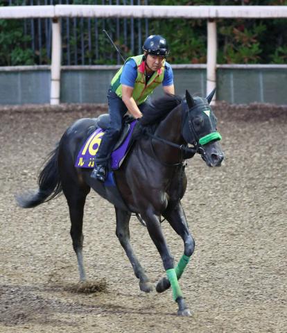【注目馬動向】スプリンターズS12着のルガルは香港スプリント登録へ