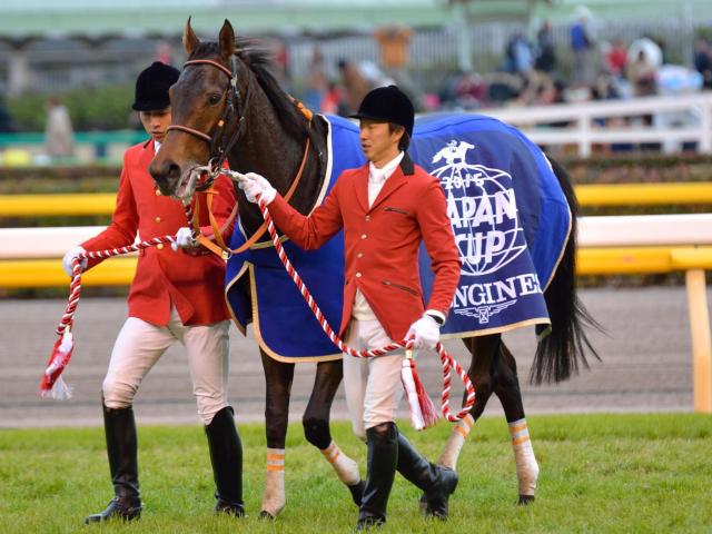 半姉はGI・2勝のショウナンパンドラ オーロアルジェントがデビュー勝ちなるか