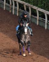  ڵŵۥɥޥƥƤ!Ӥ!饹1F126ͧƻաַڤ꤬ǤƤ