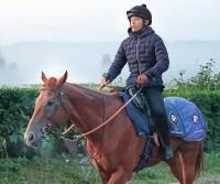  ڳޡۡϾ찭ϽʬˤꤨȻפäϤĤäƤޤץҥꥤĴա󥷥νϾбǤ