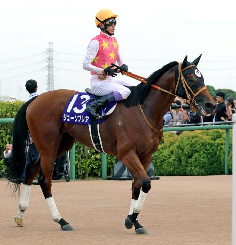 カーインライジング　香港スプリント　ぬいぐるみ　香港国際競走　日本未発売　現地物 カーインライジング ぬいぐるみ 香港国際競走 日本未発売 現地物