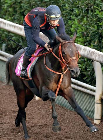 【POG】ショウナンパンドラの半妹オーロアルジェントが5日京都で初陣　高野調教師「楽しみはあります」