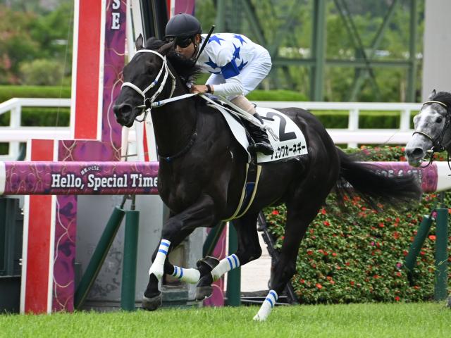 【POG】チュウワカーネギー重賞Vへ陣営自信/馬三郎のつぶやき