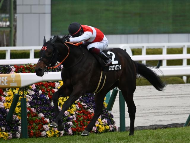 【京都大賞典予想】秋の大舞台を占う一戦 京都芝2400mは持続力と瞬発力がカギ