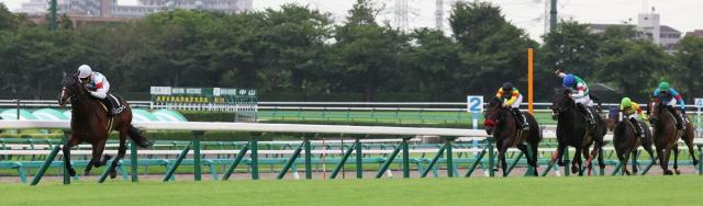 【注目馬動向】前走7馬身差圧勝のマイユニバースは武豊騎手で菊花賞参戦へ　武幸調教師と兄弟タッグ