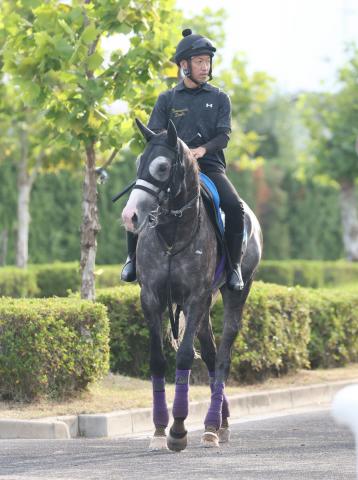 【京都大賞典】重賞連勝狙うアドマイヤテラが3・2倍で1番人気　復権目指す2023年の菊花賞馬が続く　前日オッズ