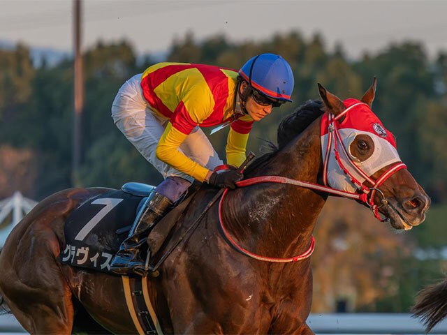 ハーツクライの軌跡 2005年有馬記念を制覇 スターを下した叛逆の