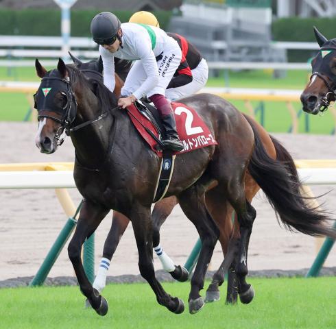 【毎日王冠】エルトンバローズ5着でも光明　西村淳也騎手「着実に良くなる傾向にあります」手応え
