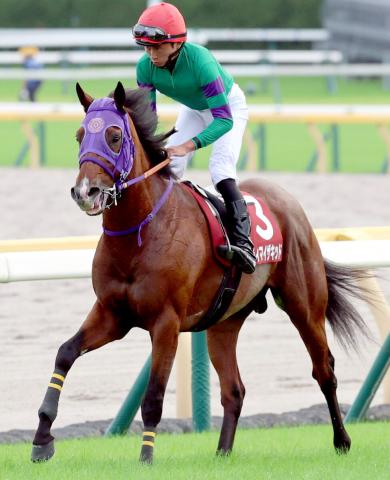 【毎日王冠】上がり最速33秒2でディマイザキッド4着　岩田望来騎手「のびのび走っていました」