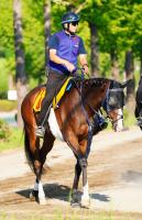  ڥTŸ˾ۺǶ1ϡ٤ܥɥ