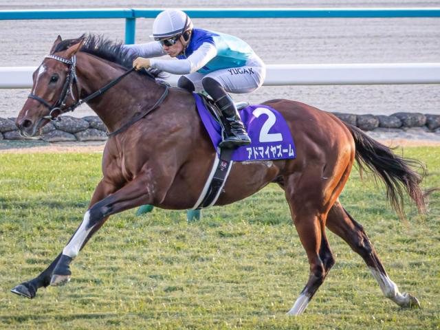 2005年有馬記念 ハーツクライ 現地的中単勝馬券 ハーツクライ22歳で死す 有馬記念＆ドバイでV～ゆかりの関係