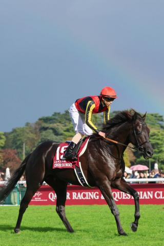 【凱旋門賞】北村友一騎手「もっとリラックスして走らせてあげることができれば」…クロワデュノールは14着　