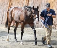  ڥT۽ž26Υܥɥ뤬С쥯־ء᡼뵳꤬³