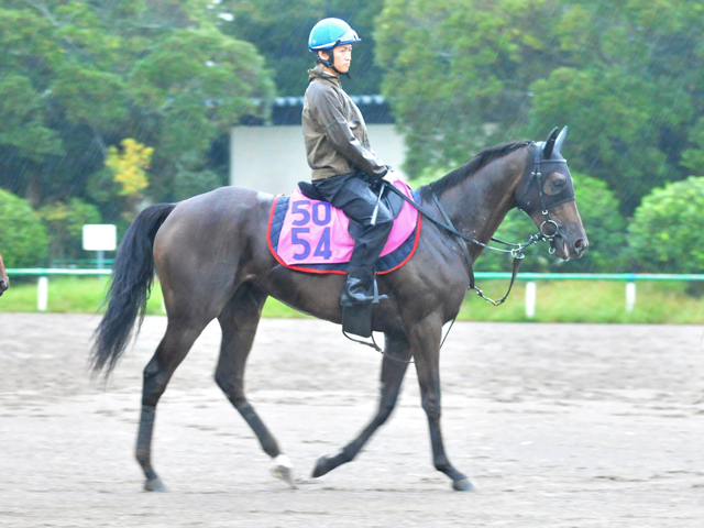 ベラジオオペラ　メイクデビュー阪神　現地的中単勝馬券　大阪杯連覇 b76775c8de48b23a2a7eab20d961af