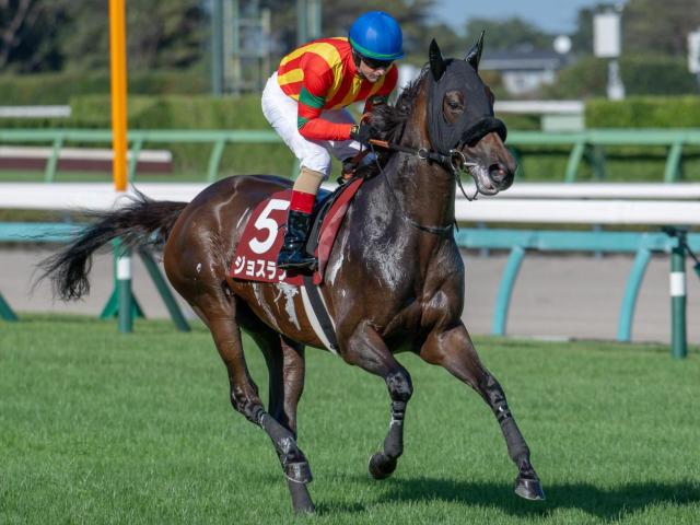 ハーツクライの軌跡 2005年有馬記念を制覇 スターを下した叛逆の