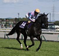  �ʥ�饯�쥢����դι⾾�ܵ�ǰ�ǥ饹�ȥ��