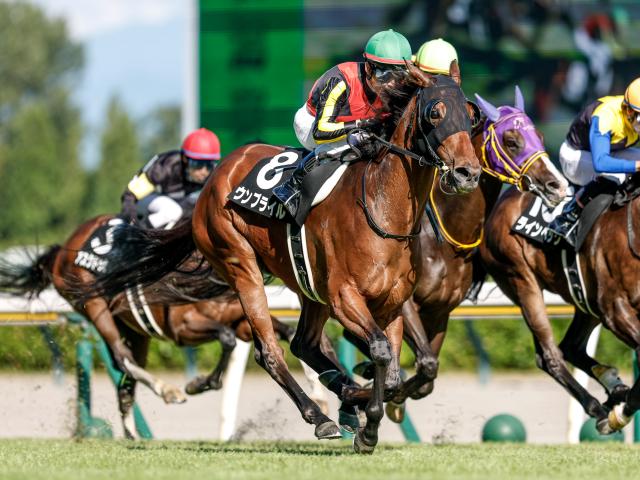 第41回ジャパンカップ　全出走馬のストラップ 第41回ジャパンカップ 全出走馬のストラップ mqdefault.jpg
