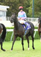  �ʥ�饯�쥢����դι⾾�ܵ�ǰ�ǰ����