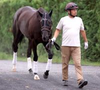  ��������ư���ۥʥ�饯�쥢����ǯ�ι⾾�ܵ�ǰ���饹�ȥ�󡡺��C����ľ��ͽ��