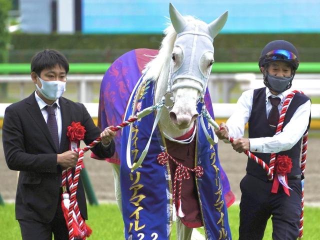 「ウマ娘」藤田晋オーナーの白毛馬 セレクト1.9億円のスーホが初陣だ