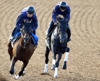  �ڥ���������ӥ�RC�ۥ��������ȥ��Ϲ�Ĵ������������������Ĵ���ա����Ѥ�餺�����餷�������