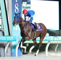  JDCۥʥ륫4Ϣǥ饹1åȡƨ2ϥʥ饤ˡͺ굳ȴμľˡ