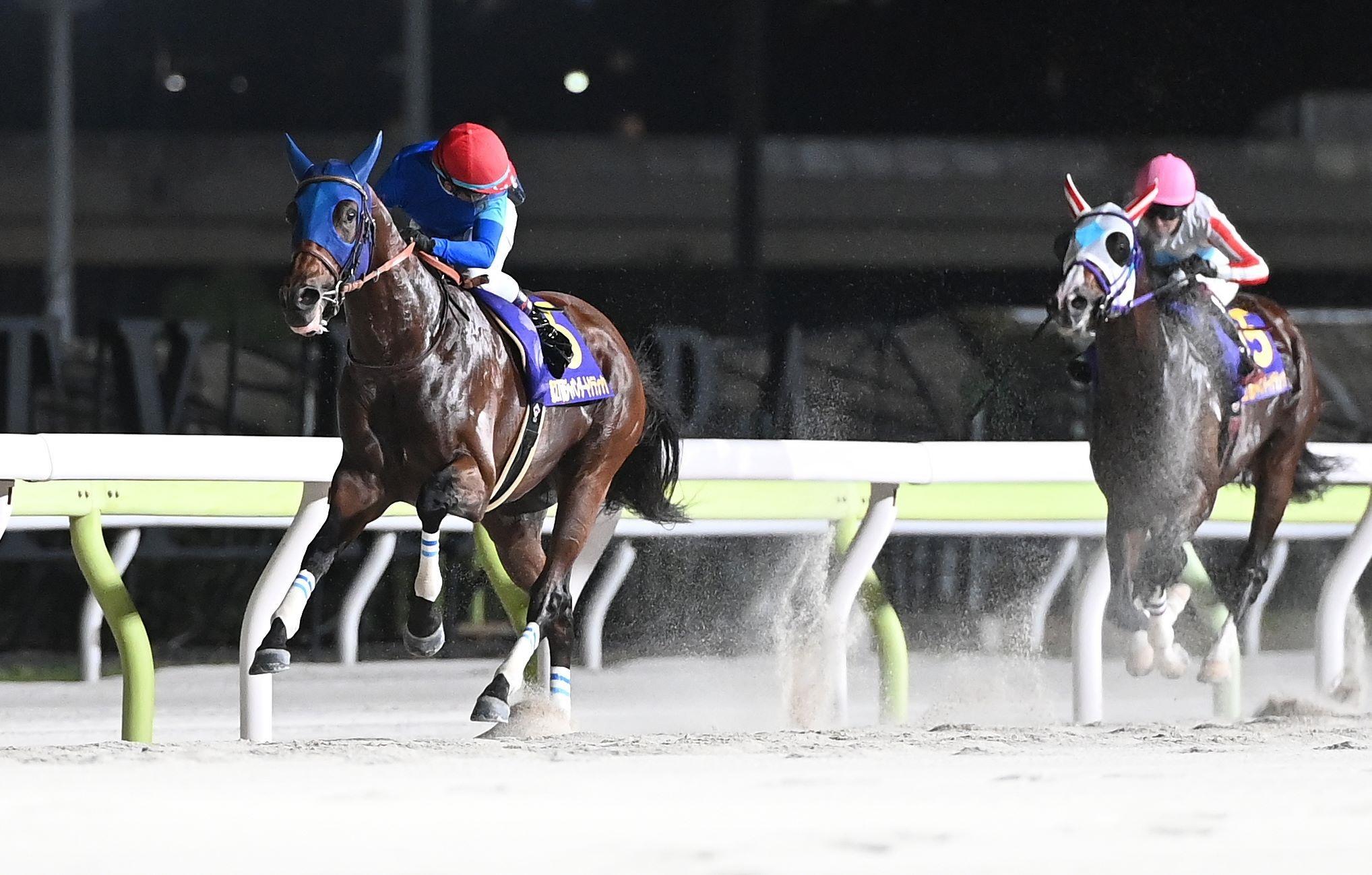 【地方競馬】ジャパンダートクラシック　ナルカミが逃げ切り最後の１冠を獲得