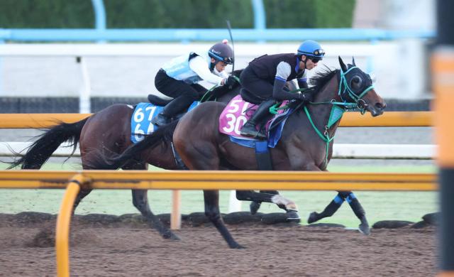 ビワハヤヒデ＆ナリタブライアン兄弟やファレノプシス＆キズナ姉