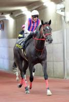  ��������ư���������ŵ�ǽž޽�V�Υ��㥹�ѡ����֥��Ȥϥ����ԥ���C��ɸ�����㥹�ѡ��������ͤϵ����դ�����