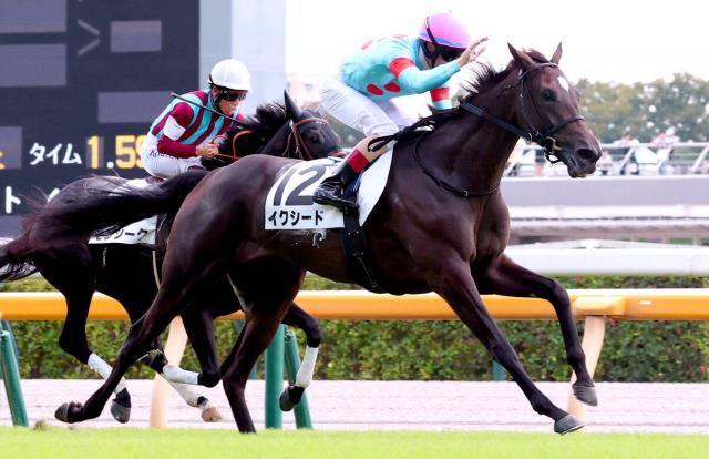 競馬・雑誌・ナリタブライアン・ビワハヤヒデ 2023年2月11日放送「血の絆 ／ ビワハヤヒデ、ナリタブライアン