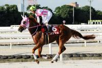  ���������ϡ�����������ȴ���ϤǤ���ʤ��顢�礭�����������ǽ�������륪���ޥ�