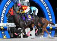  ڥۥåɥϡϢƤܻؤ٥ԥåȤ1̡ƻĵǰեɼȯɽ